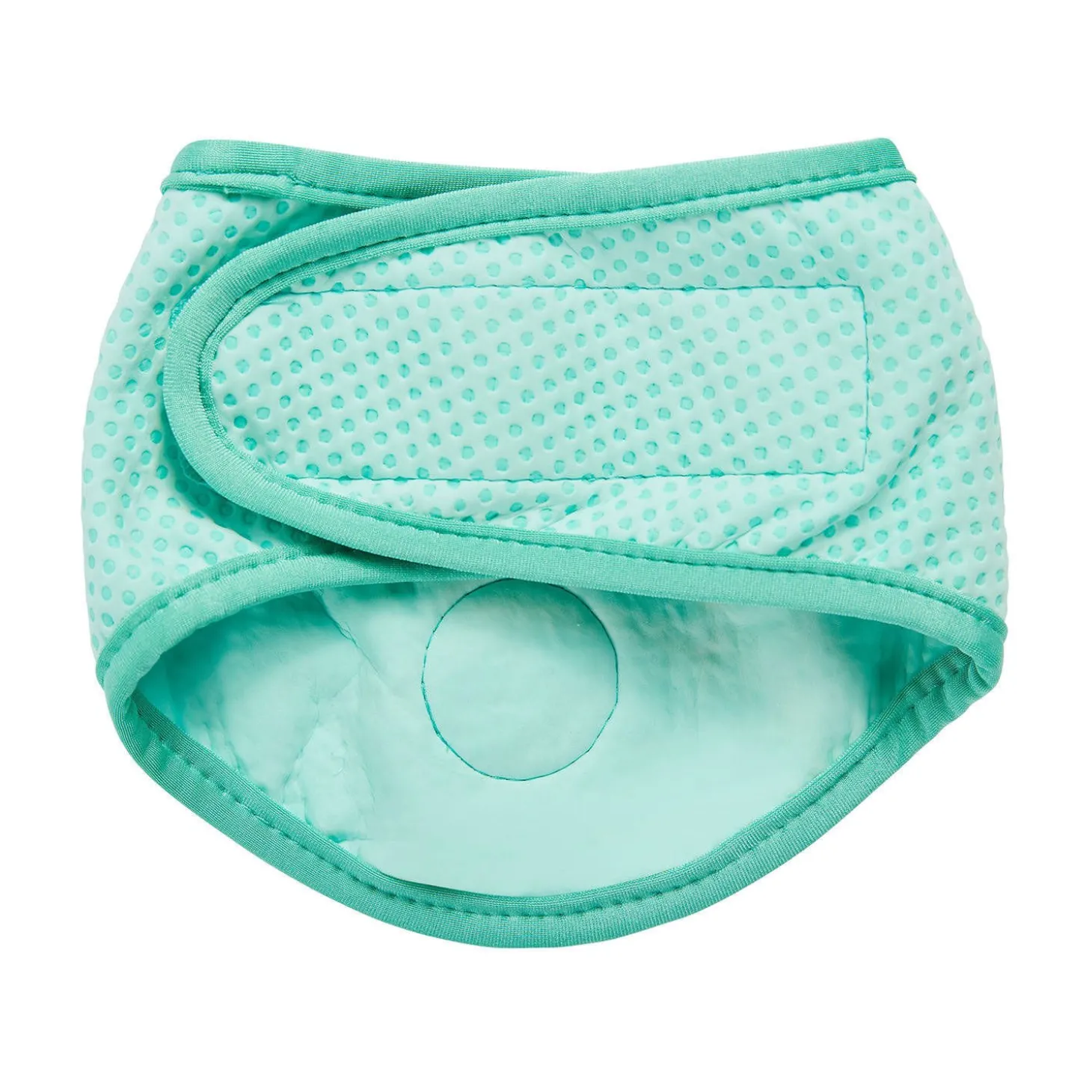 Ice Band for Dogs