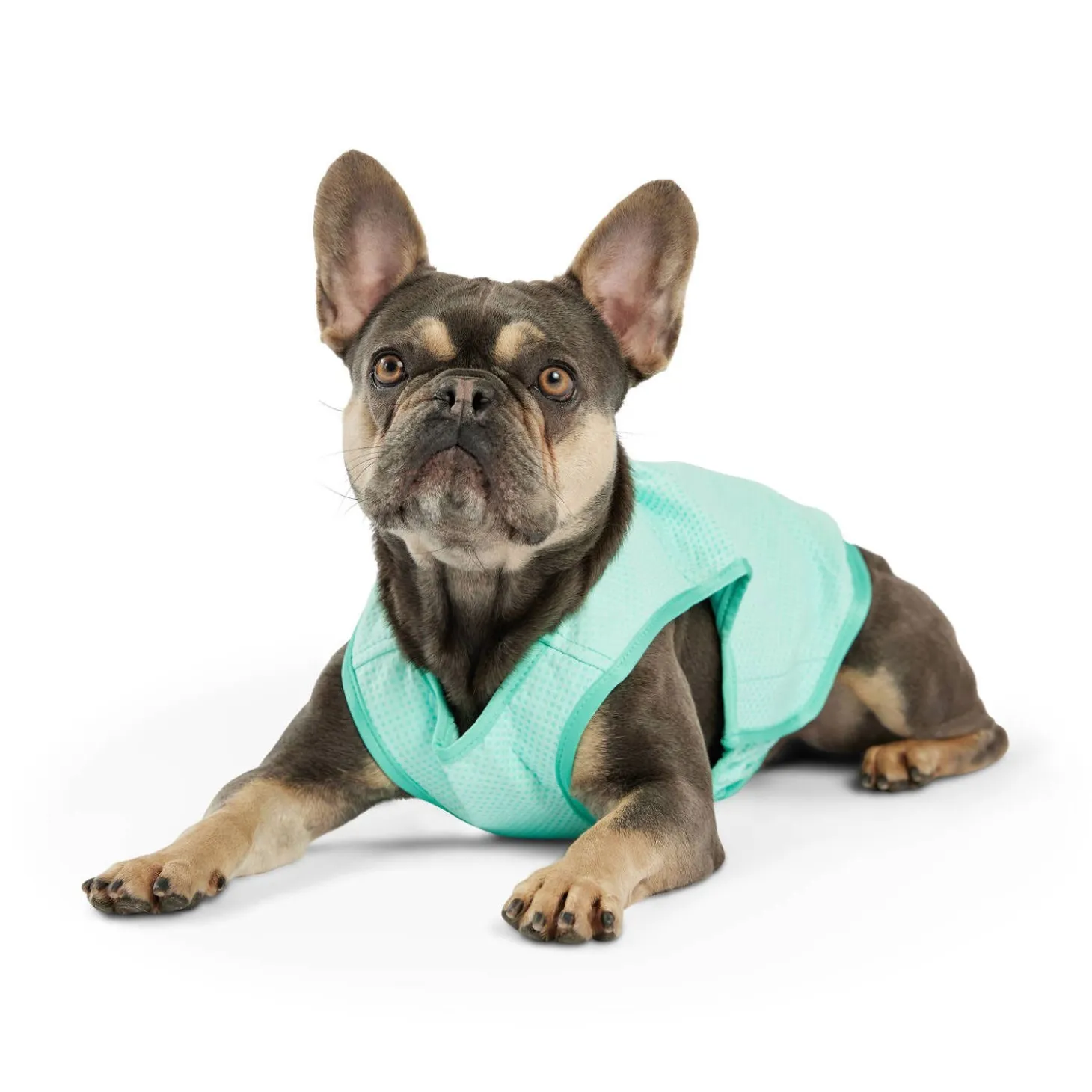 Ice Vest for Dogs