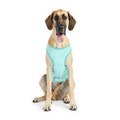 Ice Vest for Dogs