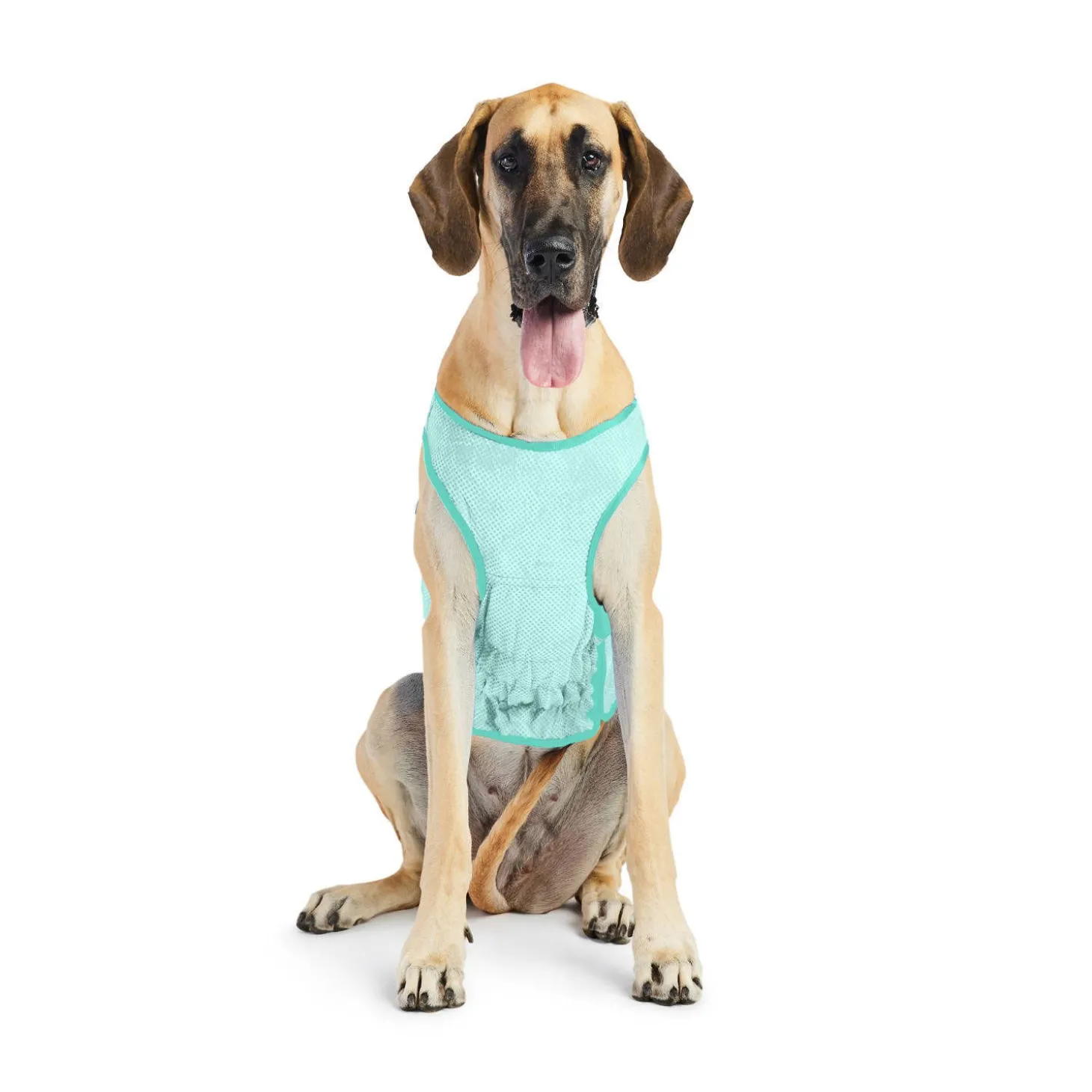 Ice Vest for Dogs