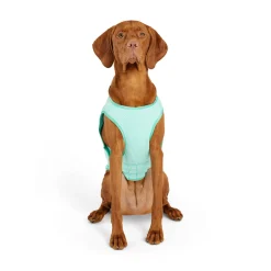 Ice Vest for Dogs