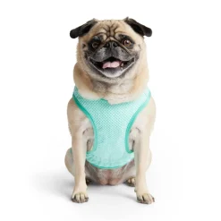 Ice Vest for Dogs