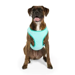 Ice Vest for Dogs