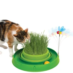3-in-1 Circuit Ball Toy with Cat Grass, 14 in