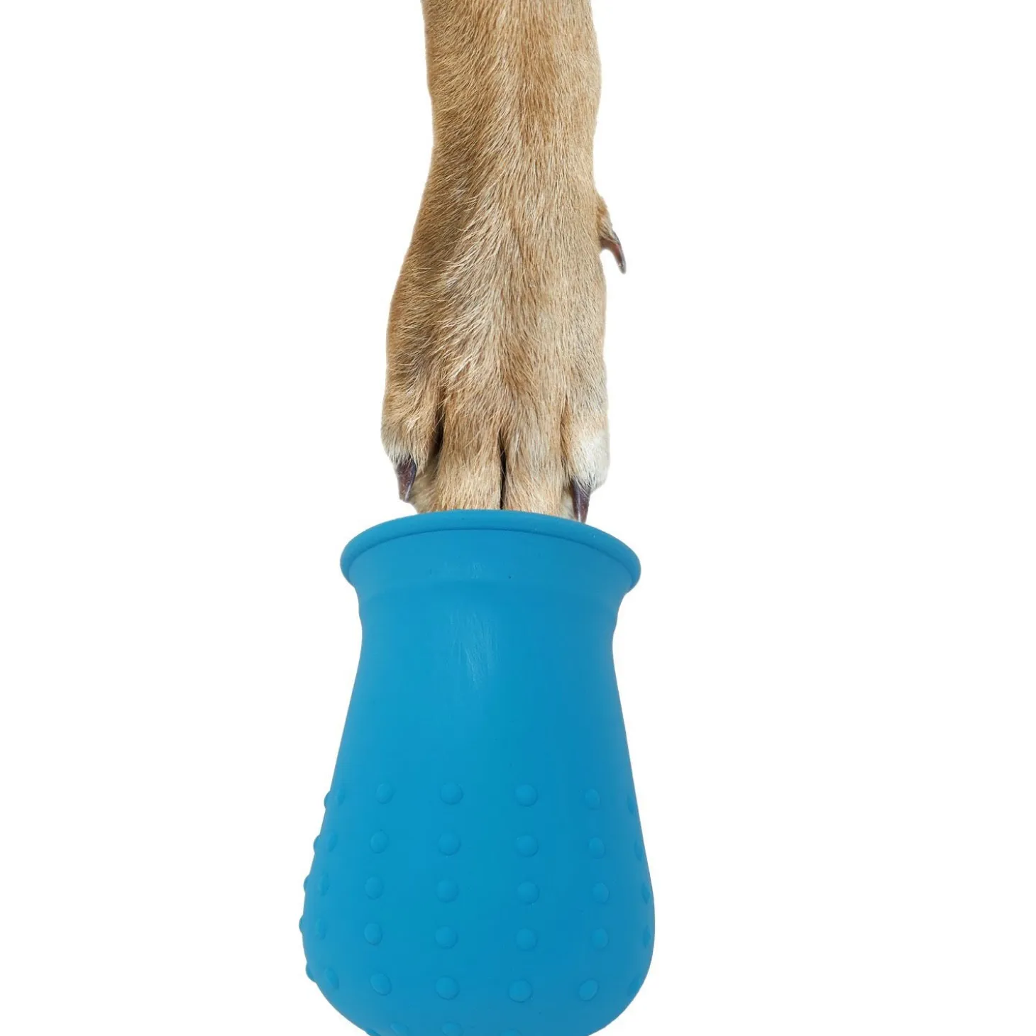 2-in-1 Dog Paws and Brush Cleaner