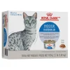Indoor Adult Cat Wet Food