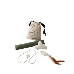 Indoor Fishing Toy Bundle for Cats