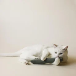 Indoor Fishing Toy Bundle for Cats