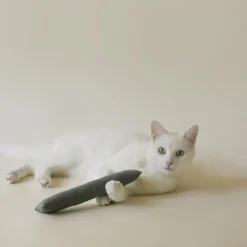 Indoor Hiking Toy Bundle for Cats