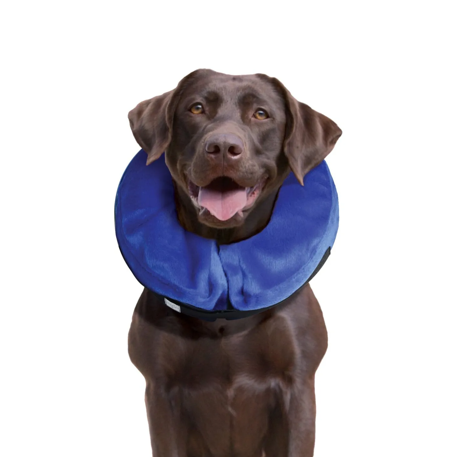 Inflatable Collar for Dogs