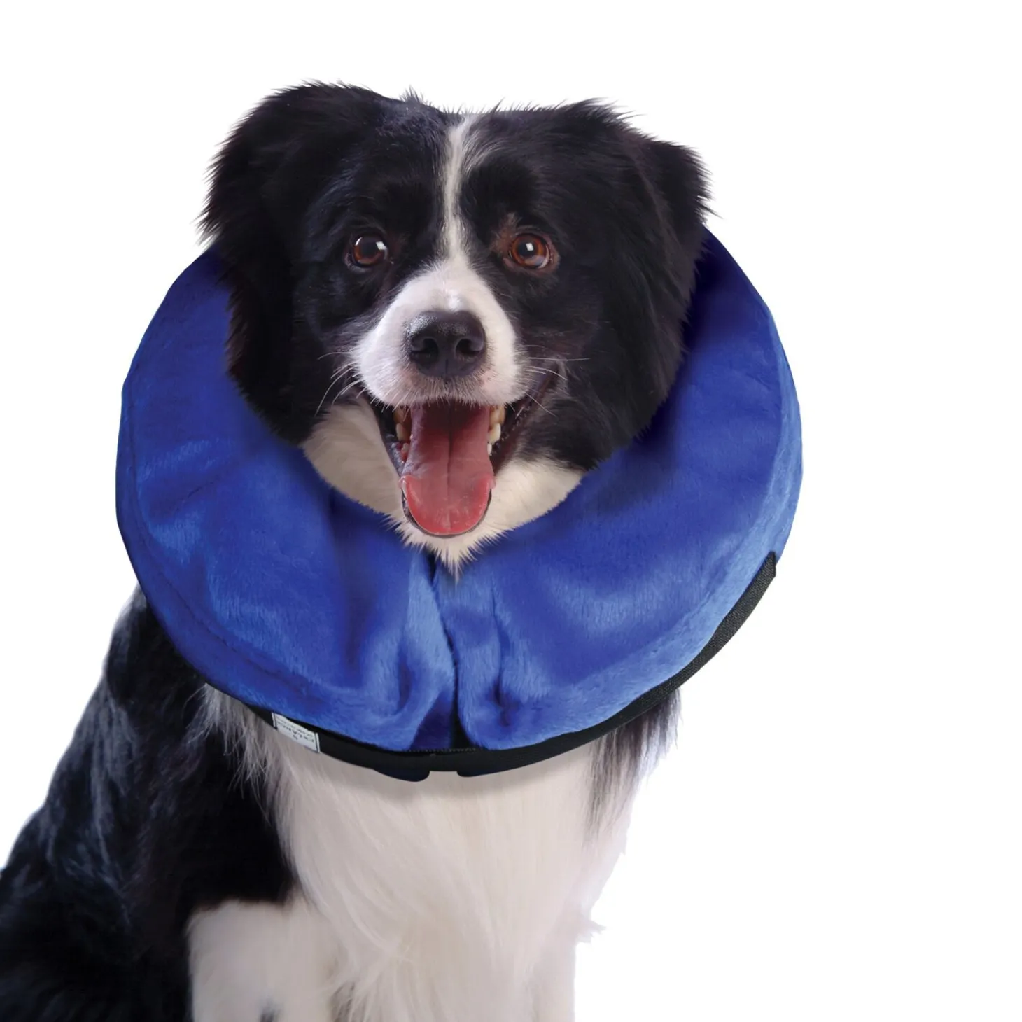Inflatable Collar for Dogs