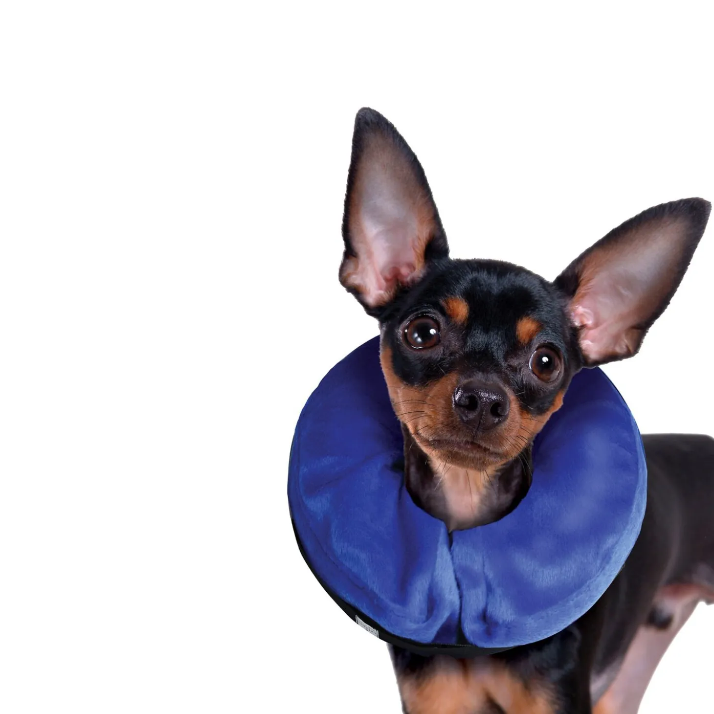 Inflatable Collar for Dogs