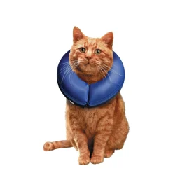 Inflatable Collar for Dogs