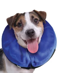 Inflatable Collar for Dogs