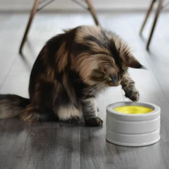 Intellikatt evolutionary toy for cats