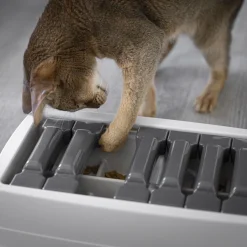 Interactive Sliding Feeder
