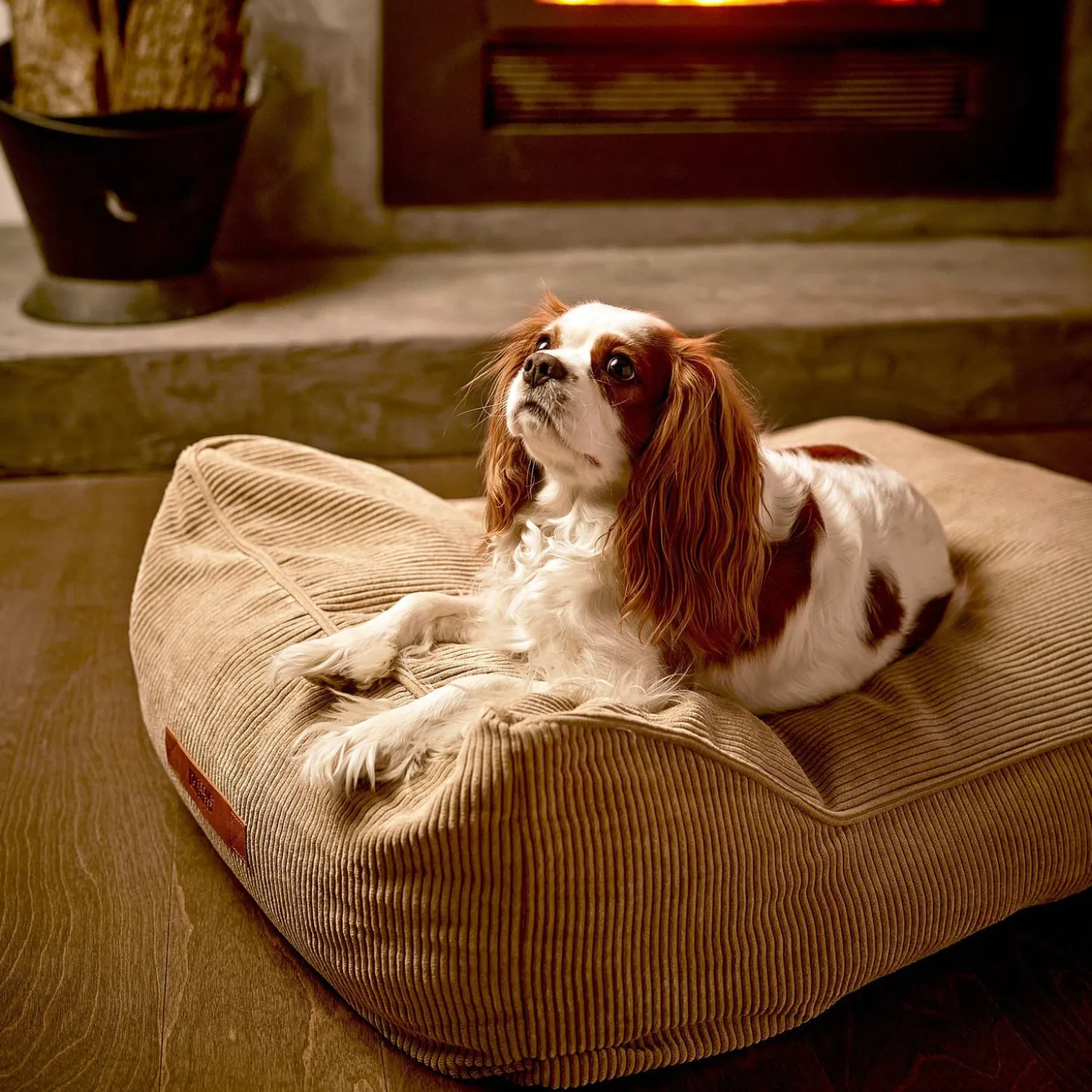 Irish Cream Therapet Bed