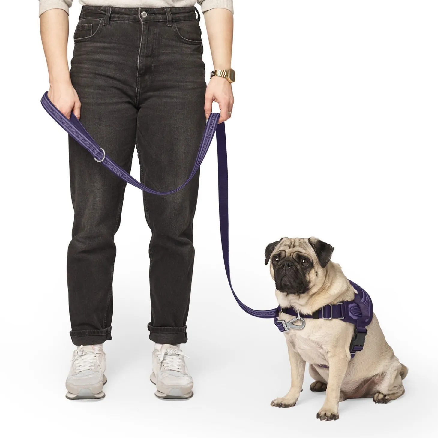 Jacquard Leash for Dogs