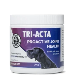 Joint & mobility supplements, regular strenght 300g