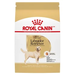 Labrador Retriever Adult Dry Dog Food