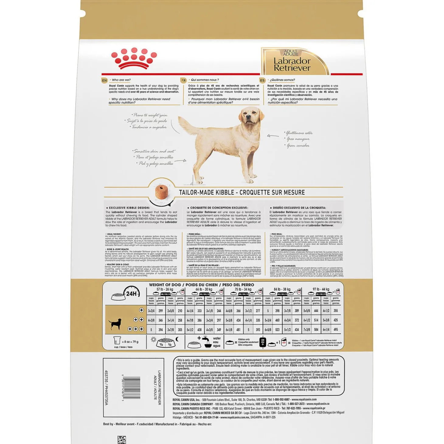 Labrador Retriever Adult Dry Dog Food