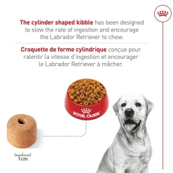 Labrador Retriever Adult Dry Dog Food