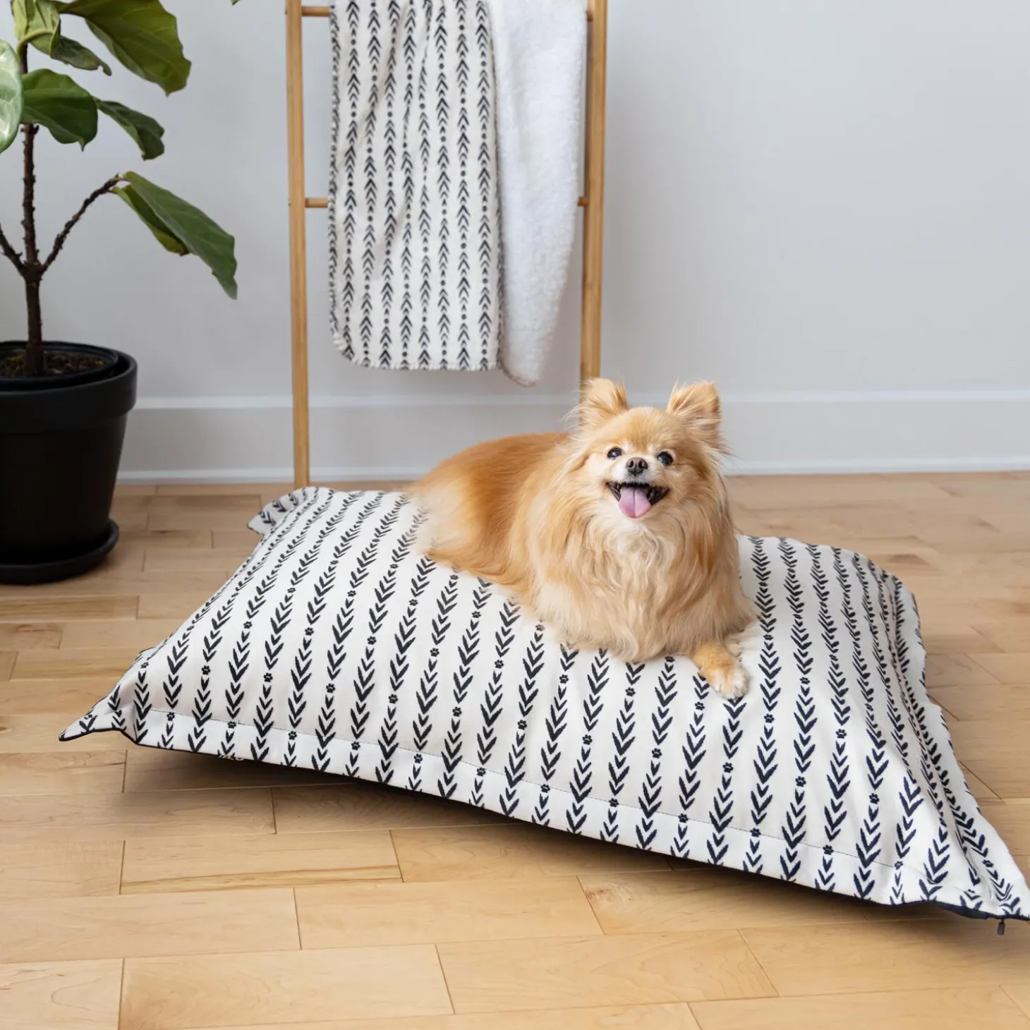 Lakewood Cloud Pillow