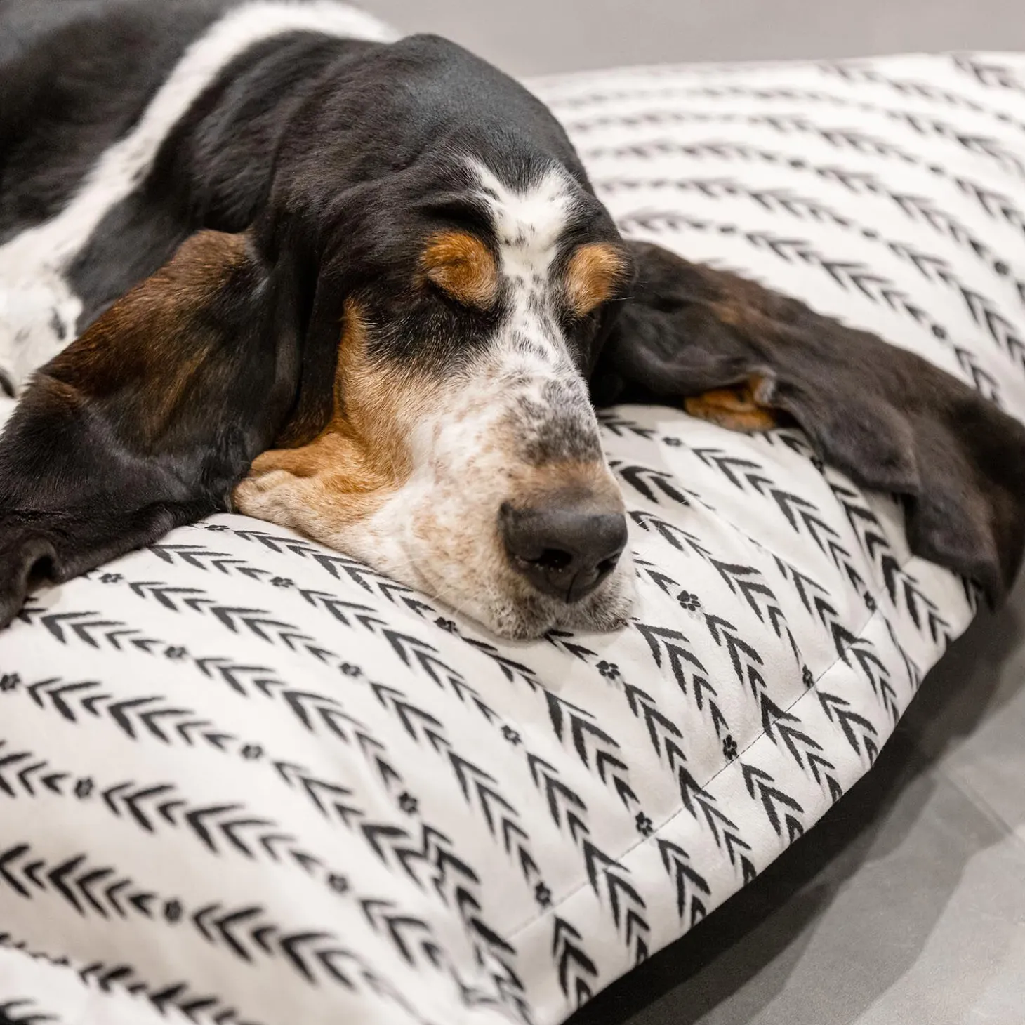 Lakewood Cloud Pillow
