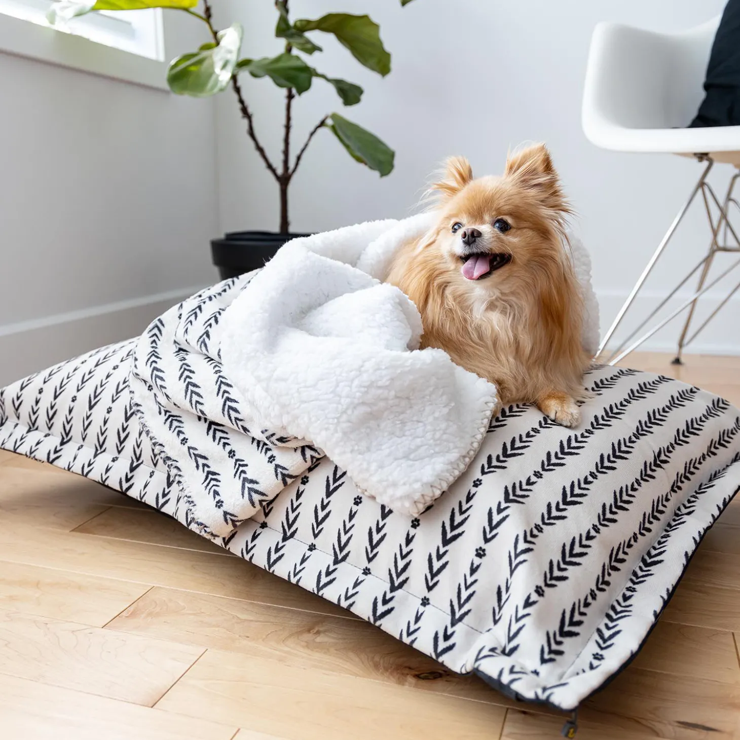 Lakewood Cloud Pillow