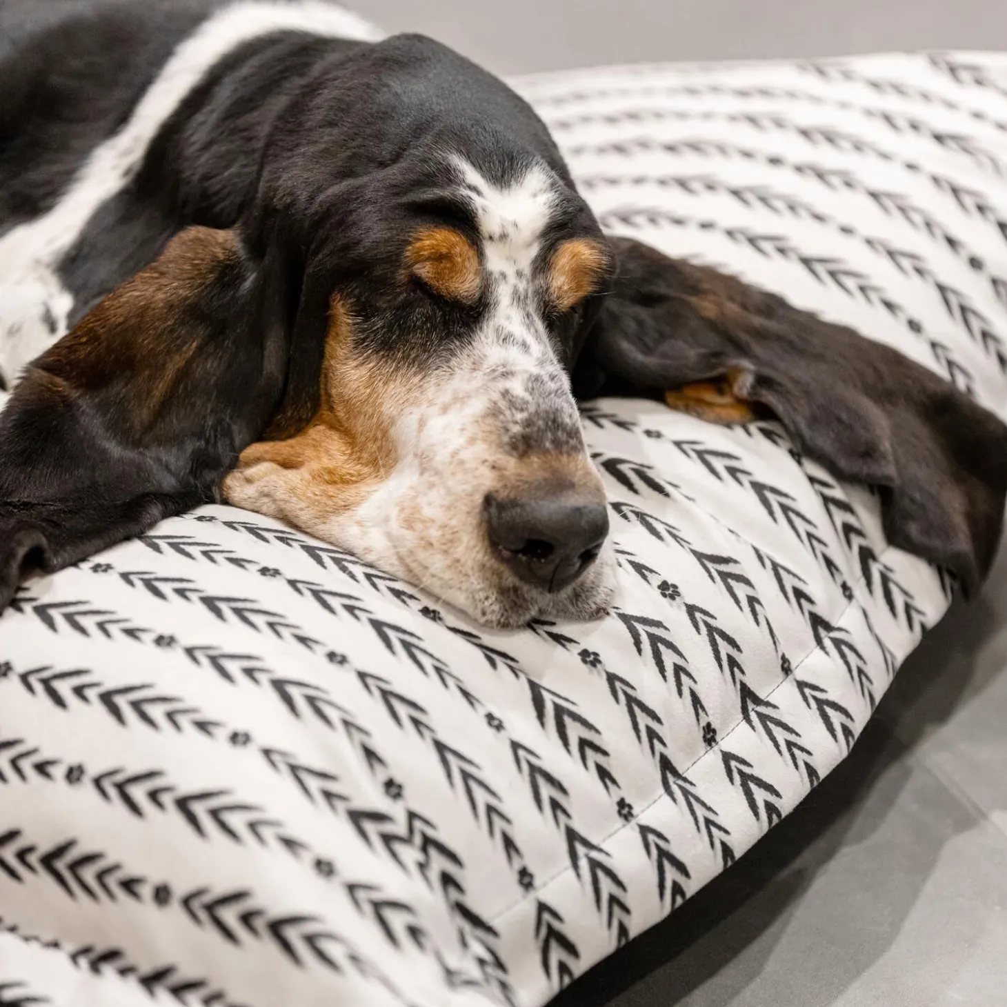 Lakewood Cloud Pillow Cover