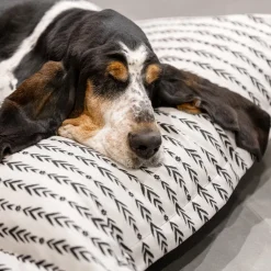 Lakewood Cloud Pillow Cover