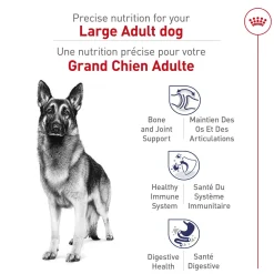 Large Adult Dog Dry Food