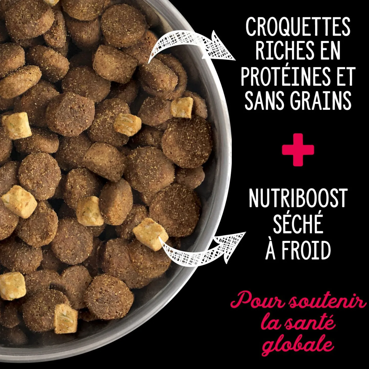 Large breed dogs grain free dry food, Prairie Red