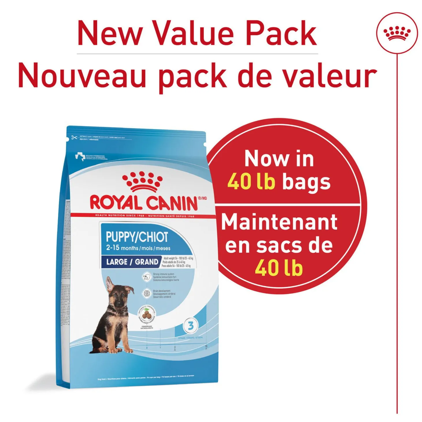 Large Breed Puppy Dry Food