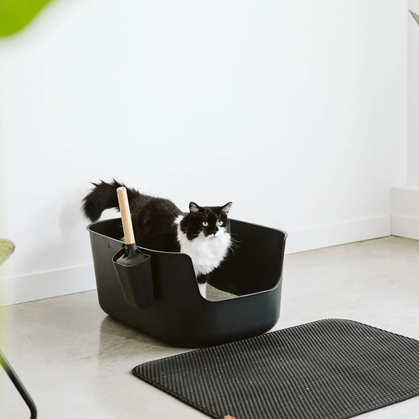 Large Luxury Litter Box