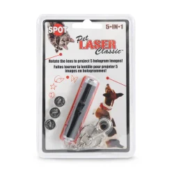 Laser pointer with holograms