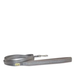 Leash for small dogs