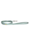 Leash for Tiny Dogs, cactus