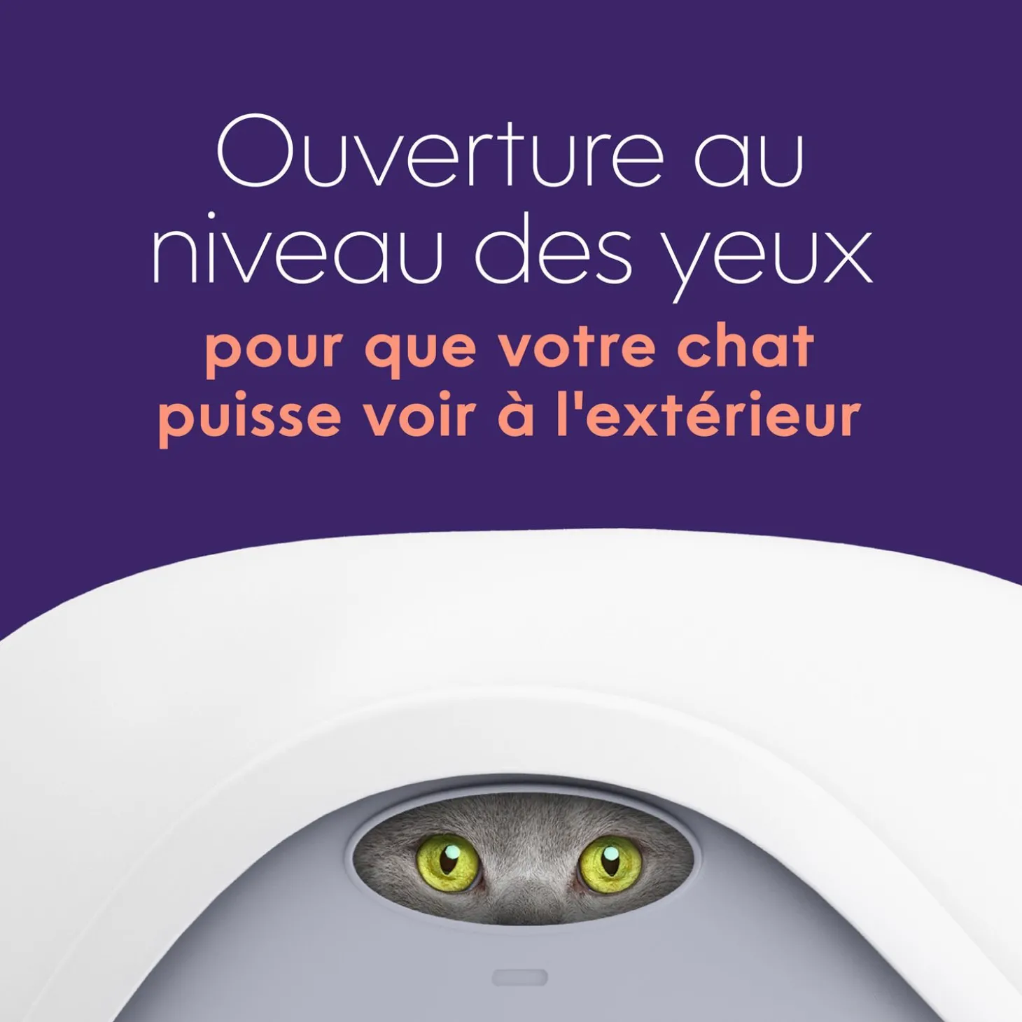 Litterbox Hood