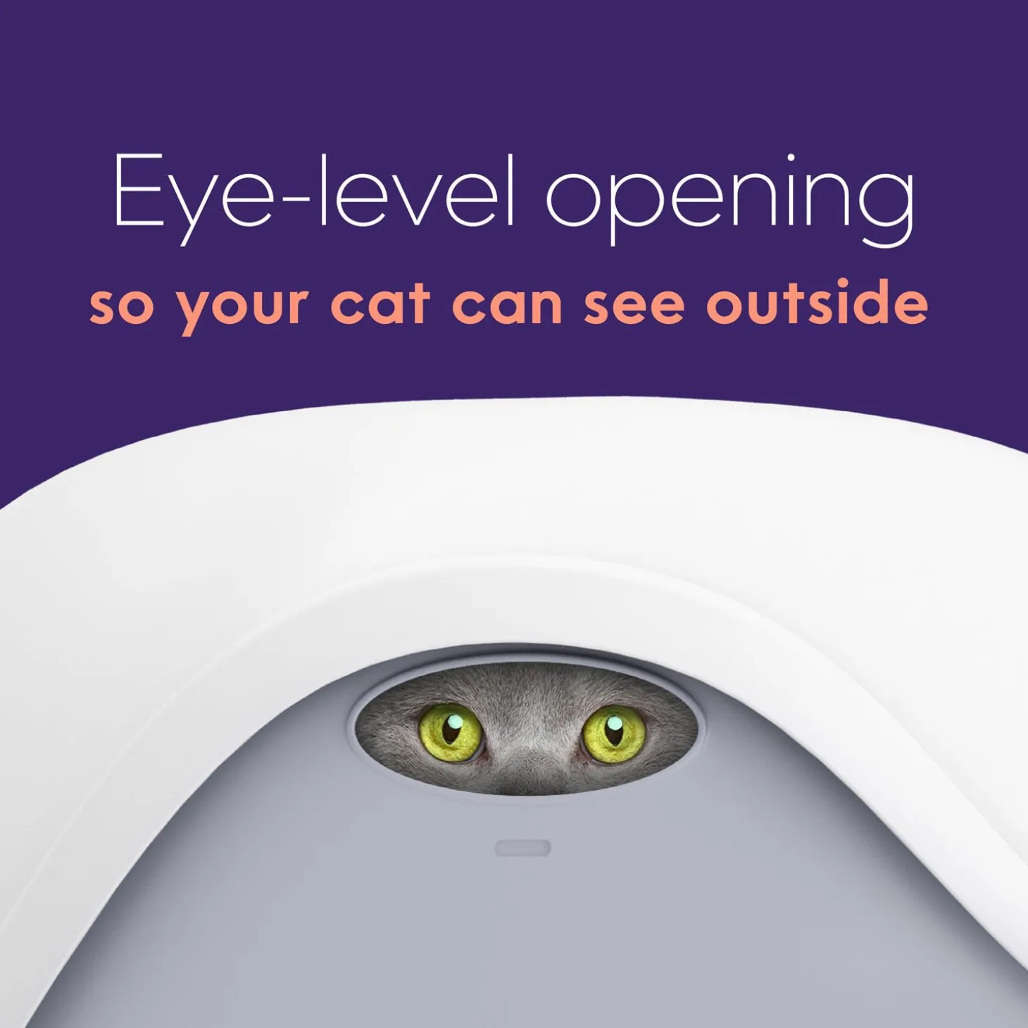 Litterbox Hood