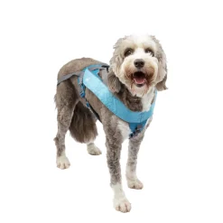 Long Hauler Cradle Back Joring Harness, M