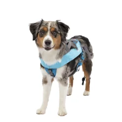 Long Hauler Cradle Back Joring Harness, S