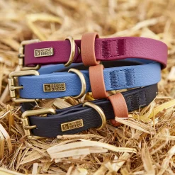 Luxe Waterproof Collar for Dogs, Blue