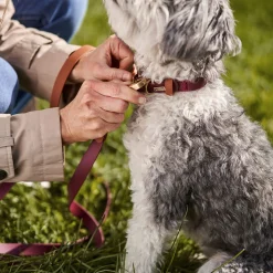 Luxe Waterproof Leash for Dogs, Cabernet