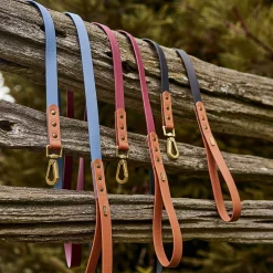 Luxe Waterproof Leash for Dogs, Blue