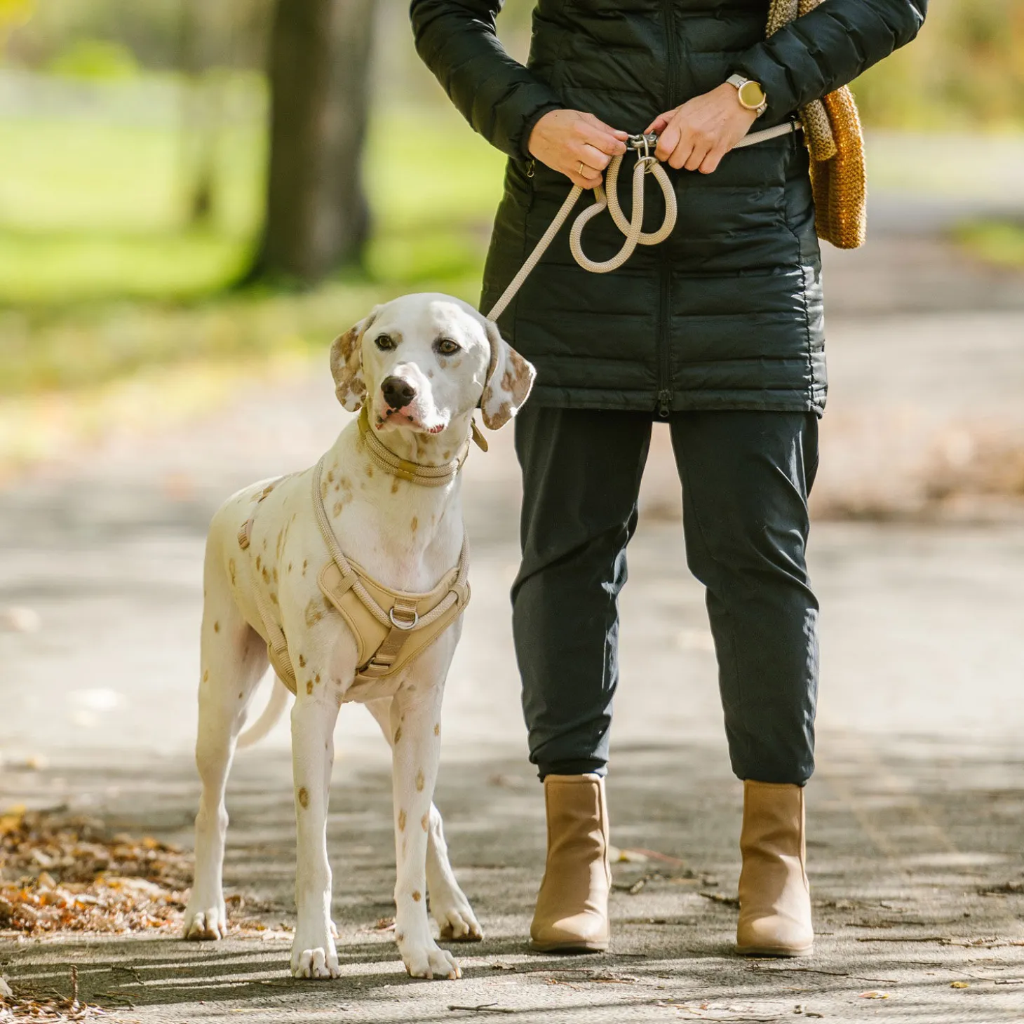 Luxury Rope Collar for Dogs, Sand