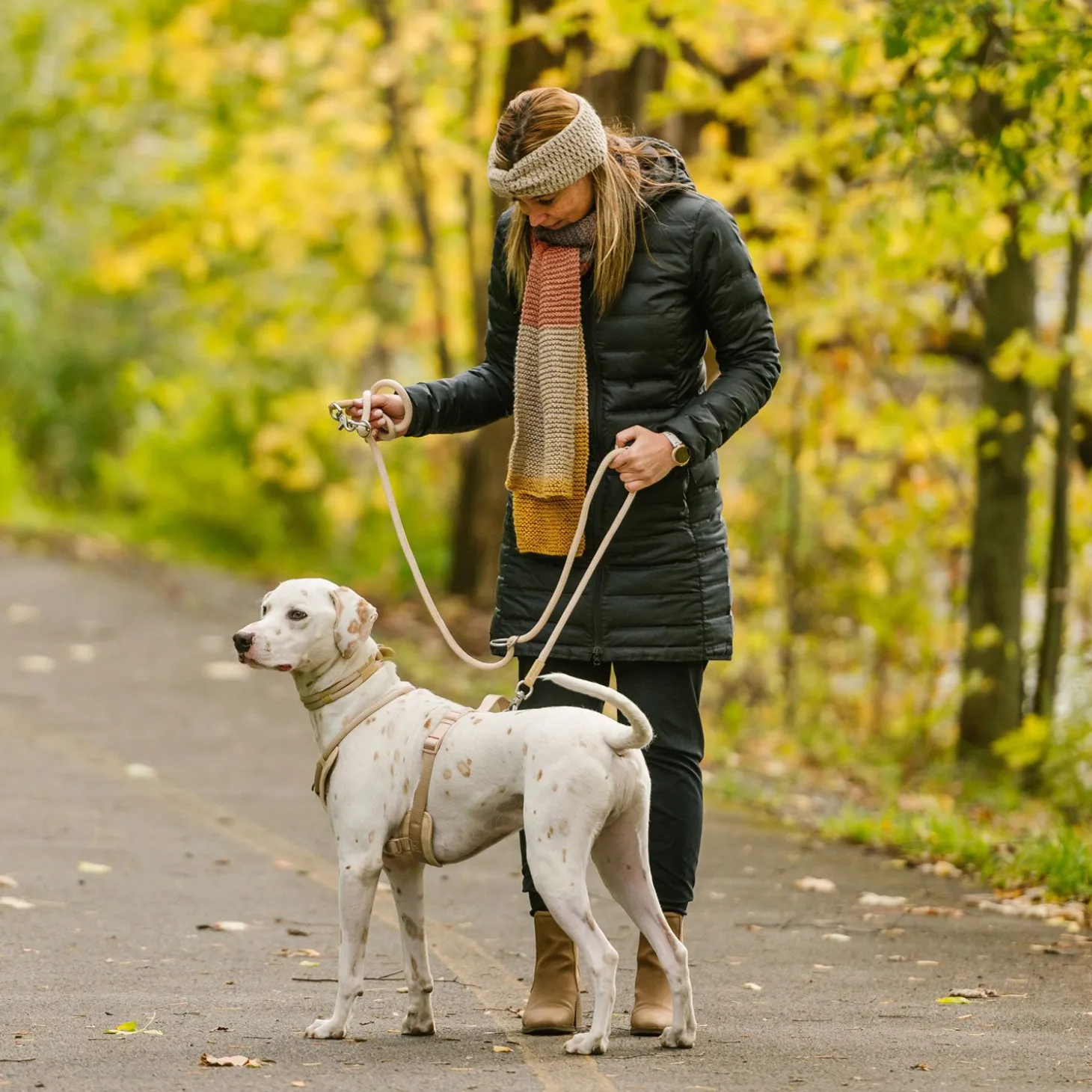 Luxury Rope Collar for Dogs, Sand