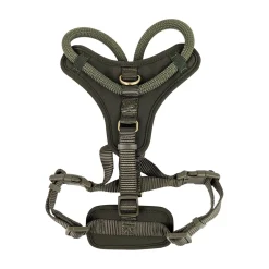 Luxury Rope Harness for Dogs, Olivine