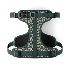 Margot Dog Harness