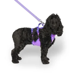 Max Chill Cooling Harness for Dogs